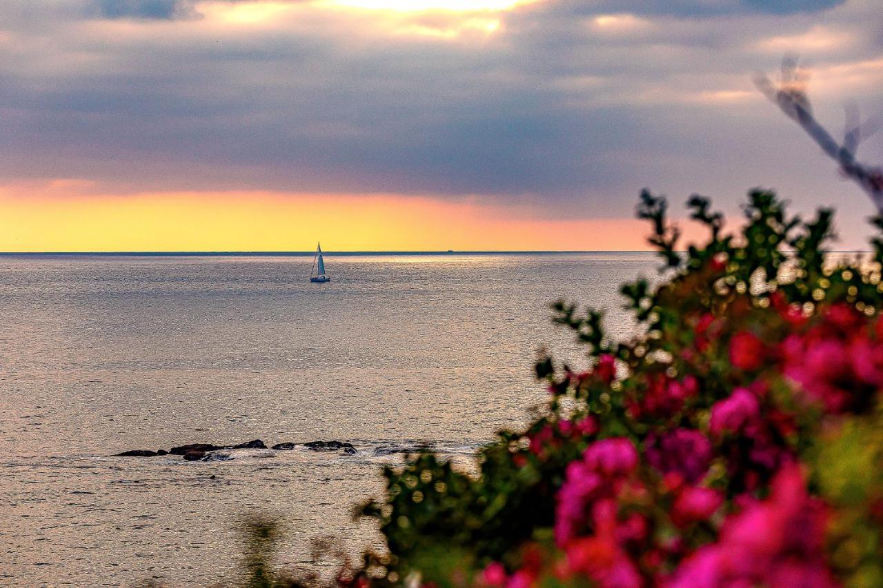 Cliff View Ii