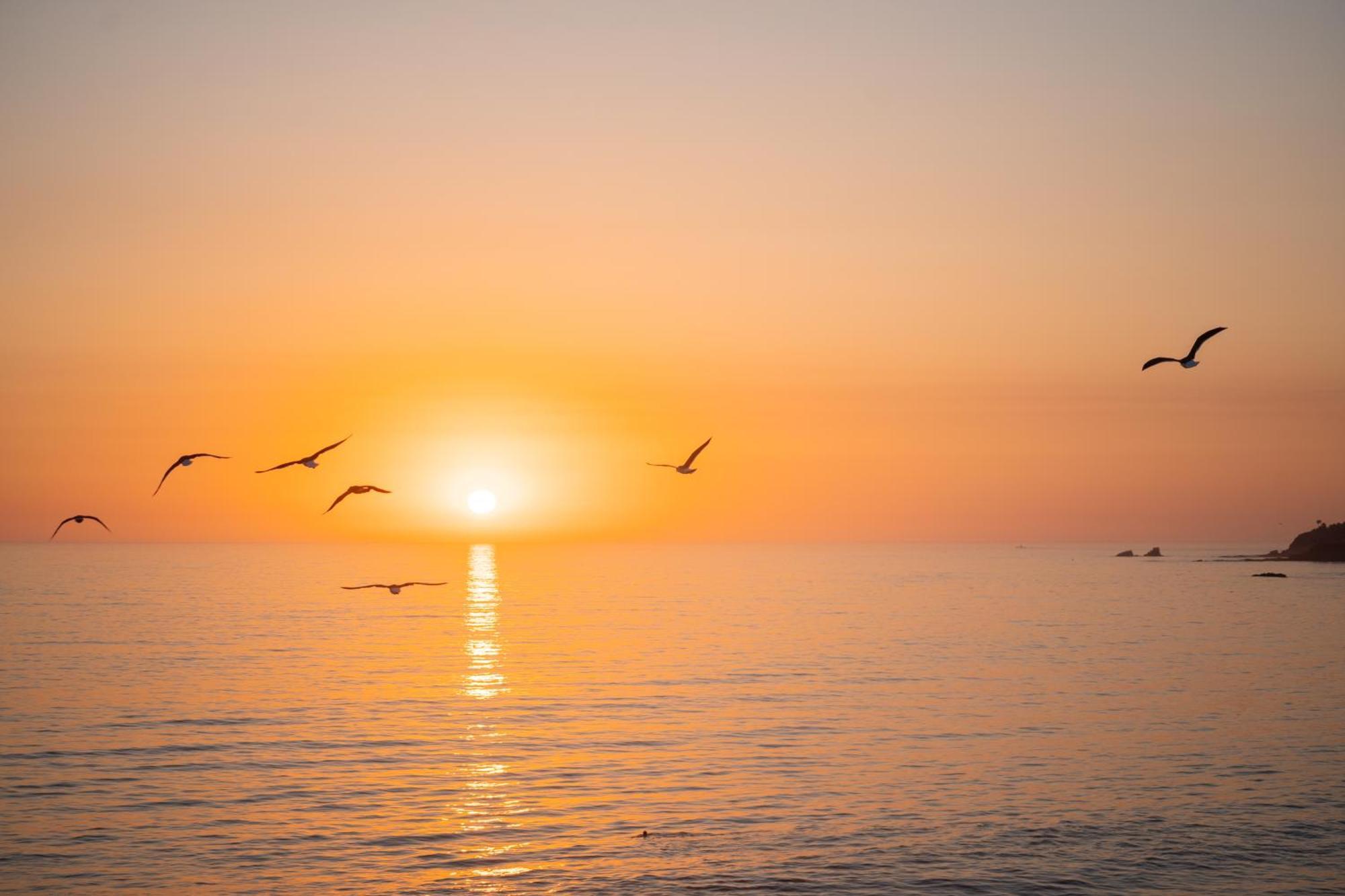 Pacific Edge