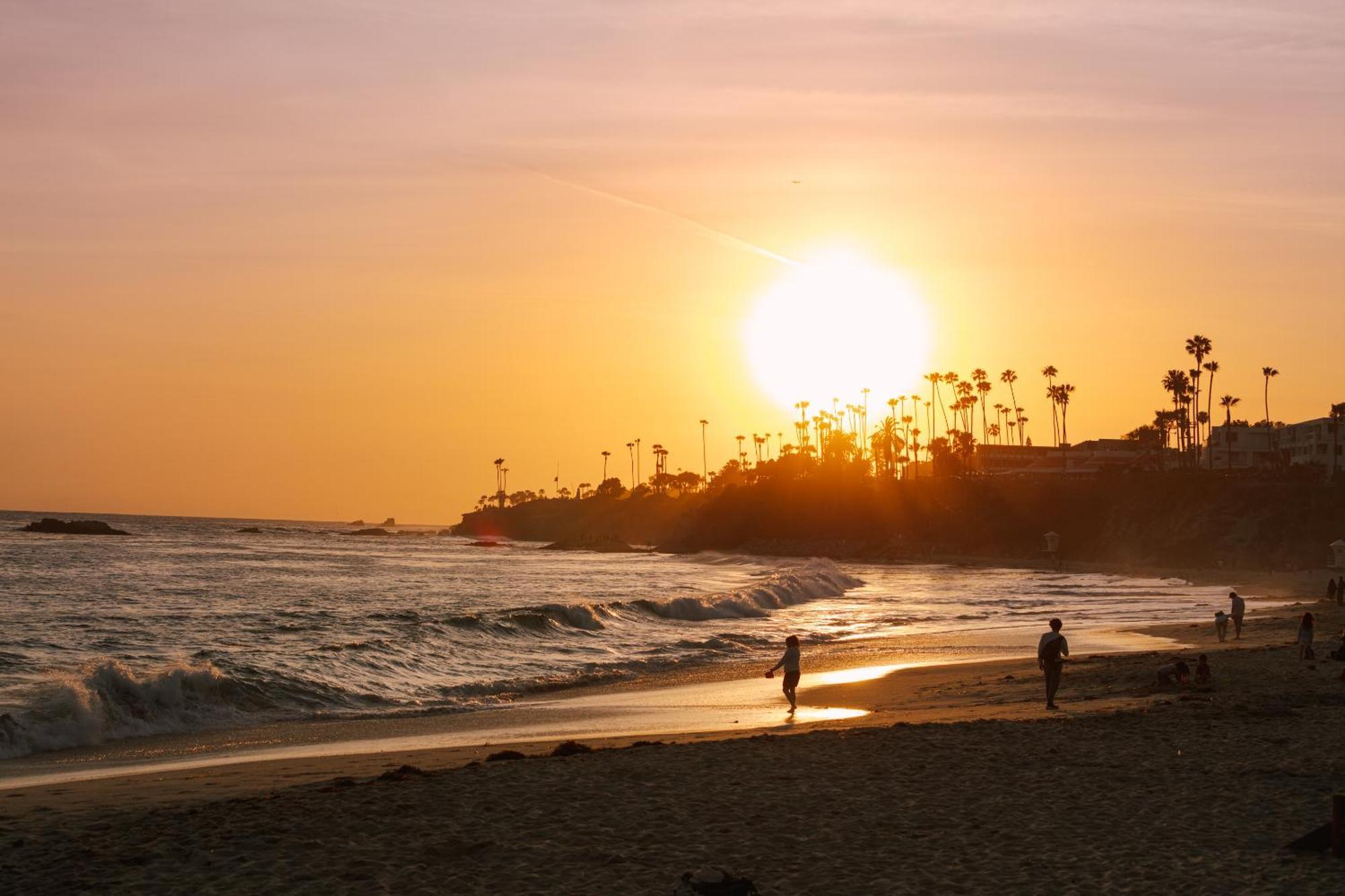 Hotel Sonder Woods Cove 3*
