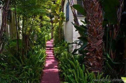 Hotel Casa Laguna & 4*