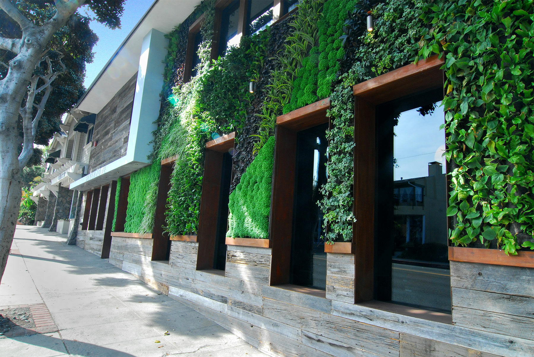 Scp Seven4one Hotel Laguna Beach